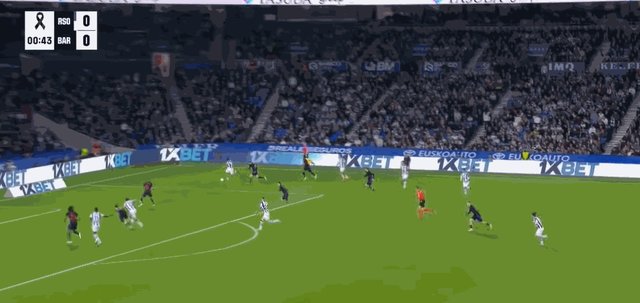 苏契奇.gif